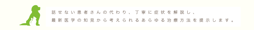 話せない患者さんの代わり、丁寧に症状を解説し、最新医学の知見から考えられるあらゆる治療方法を提示します。