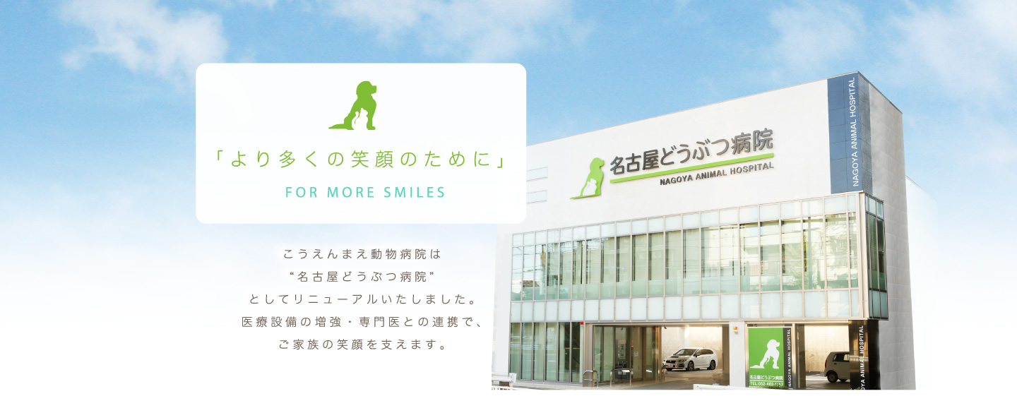 こうえんまえ動物病院は”名古屋どうぶつ病院”としてリニューアルいたしました。医療設備の増強・専門医との連携で、ご家族の笑顔を支えます。
